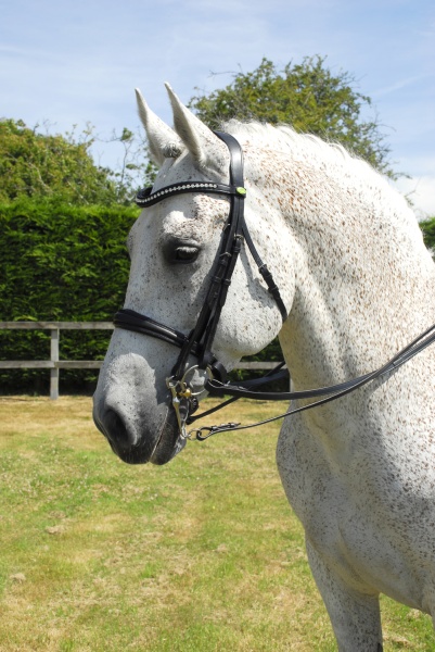 Rhinegold Anatomic Double Bridle With Crank Style Noseband